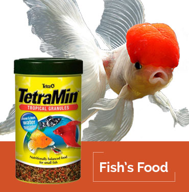 Fish Food Petplus